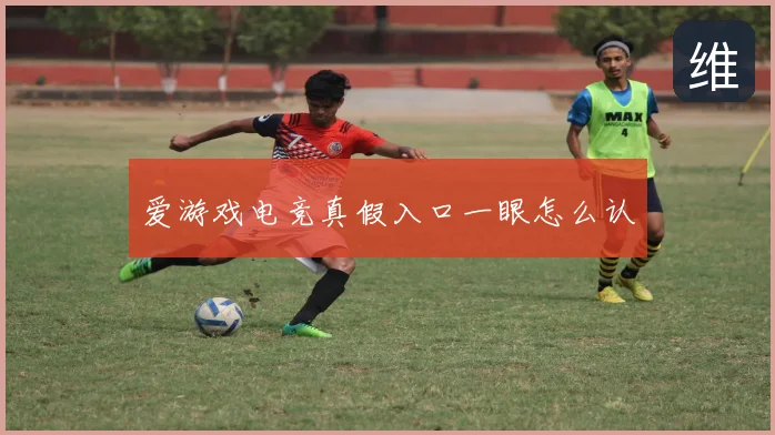 爱游戏电竞真假入口一眼怎么认
